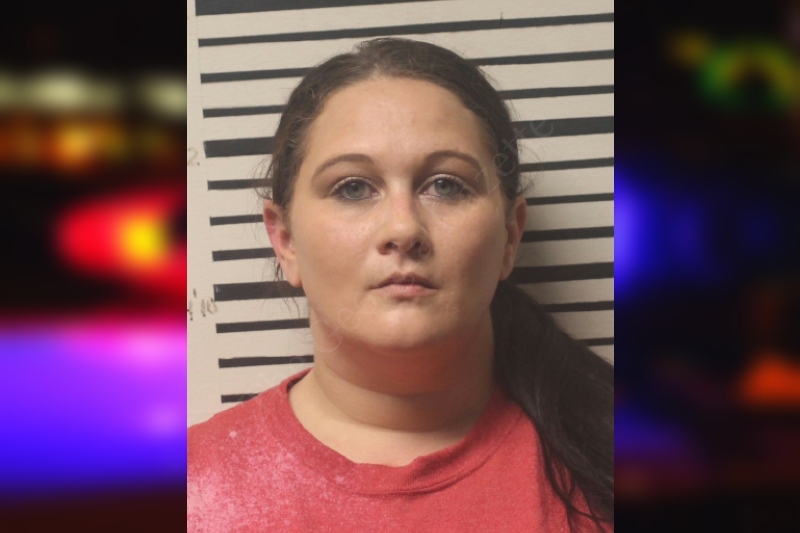 Brittni Evans Toombs County Jail Bookings