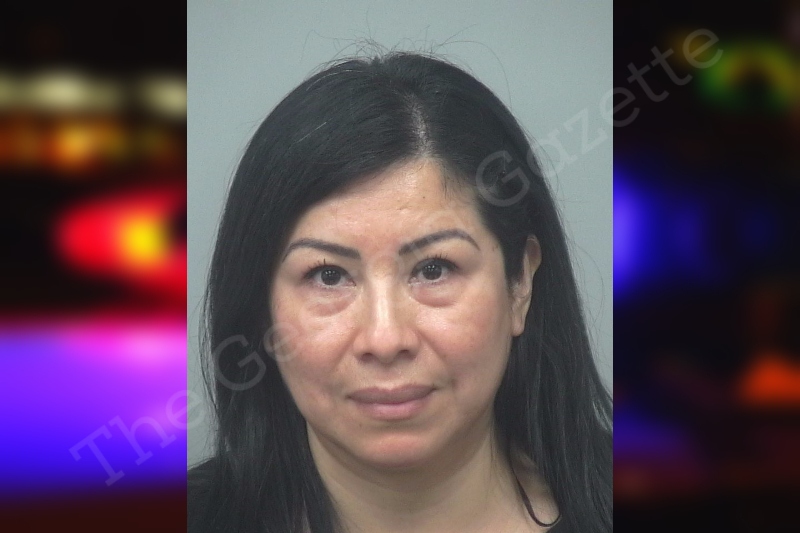 Sandra Rivera Hernandez Gwinnett County Jail Bookings