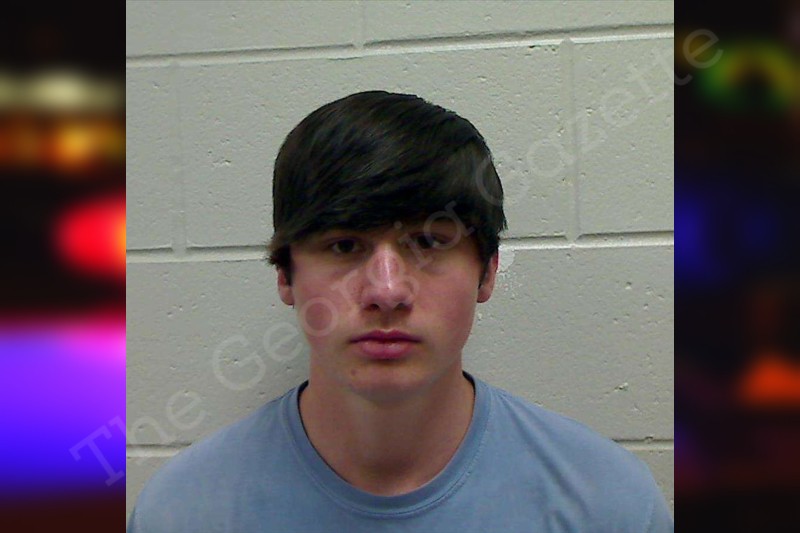 Caleb Burke Bulloch County Jail Bookings