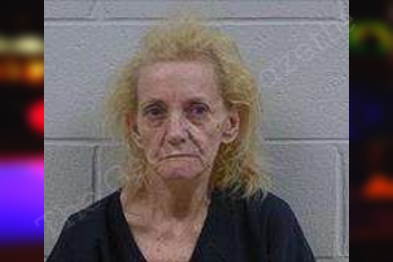 Charlene Davidson Polk County Jail Bookings