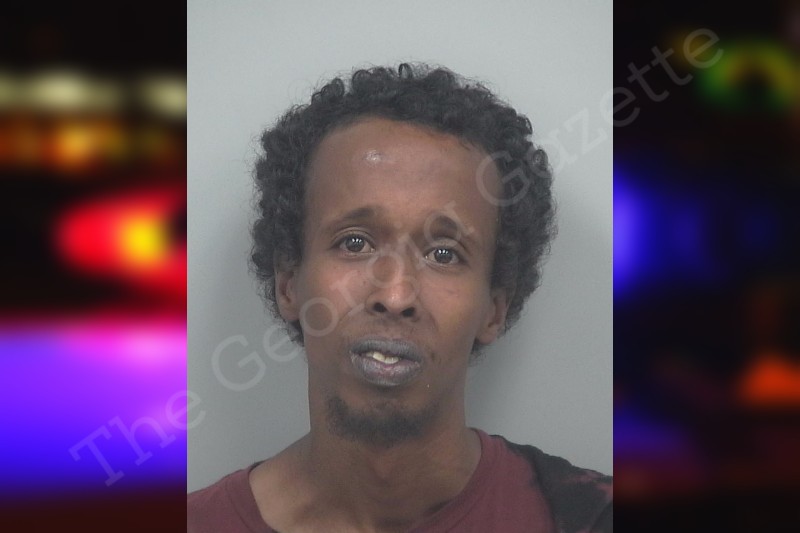 Abdigani Mohamed Gwinnett County Jail Bookings