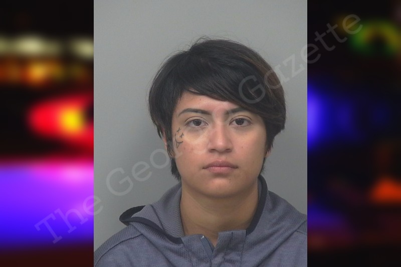 Maria Montes Gwinnett County Jail Bookings