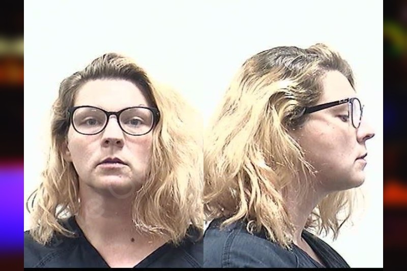 Lydia Holcomb Clarke County Jail Bookings