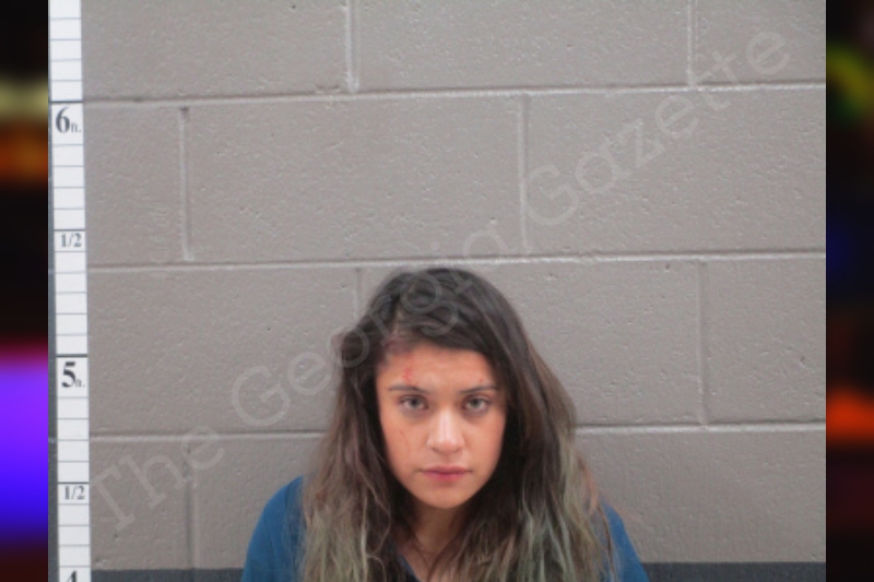 Mariela Fuentes Banks County Jail Bookings