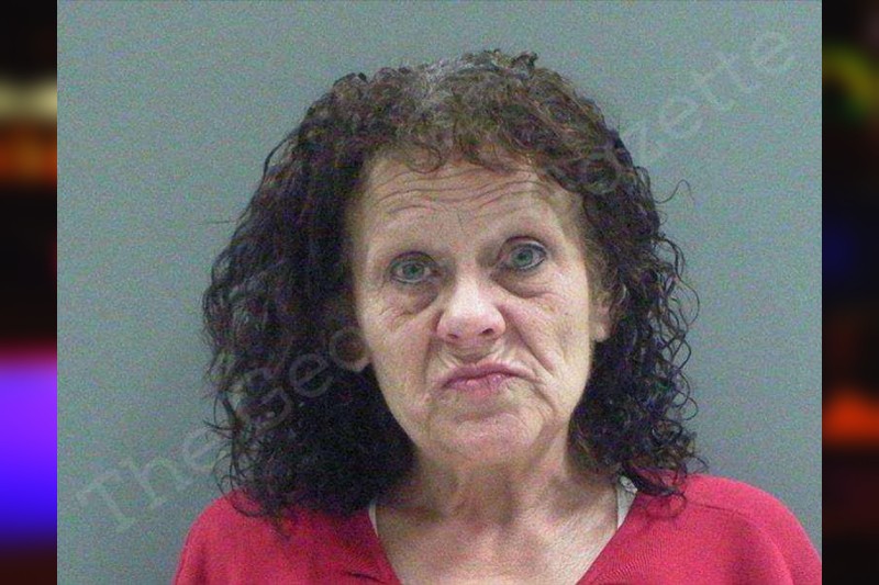 Donna Dixon Rabun County Jail Bookings