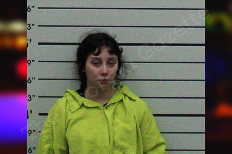 Halie Gonzalez Turner County Jail Bookings