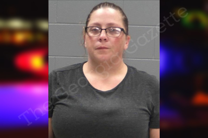 Andrea Anderson Baldwin County Jail Bookings