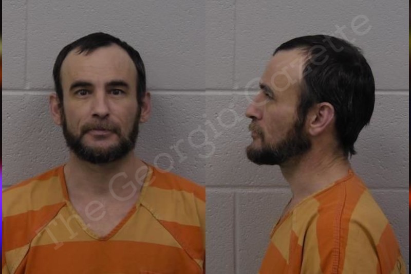 Bryan Cochran Paulding County Jail Bookings