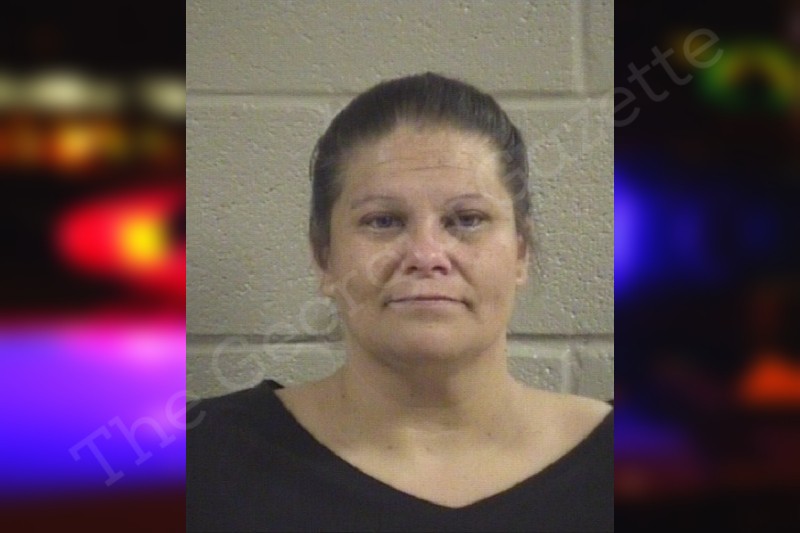 Sarah Freeman Whitfield County Jail Bookings