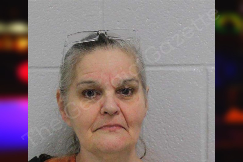 Tina Rainwater Carroll County Jail Bookings