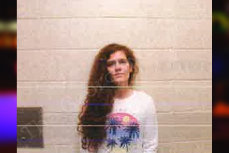 Megan Voyles Pickens County Jail Bookings