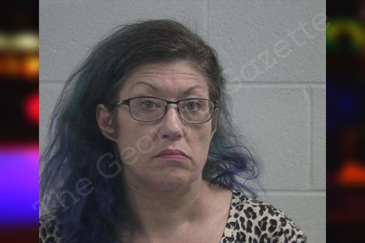 Bethanie Bridges Mcduffie County Jail Bookings