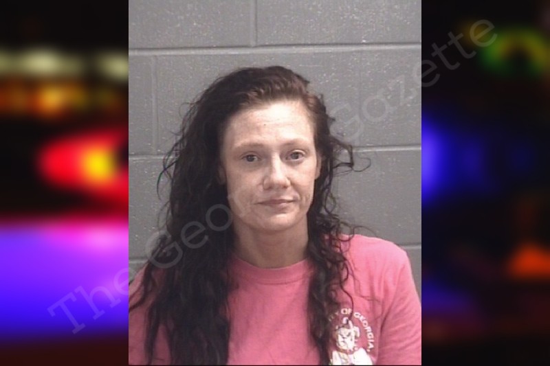 Presley Varnom Spalding County Jail Bookings