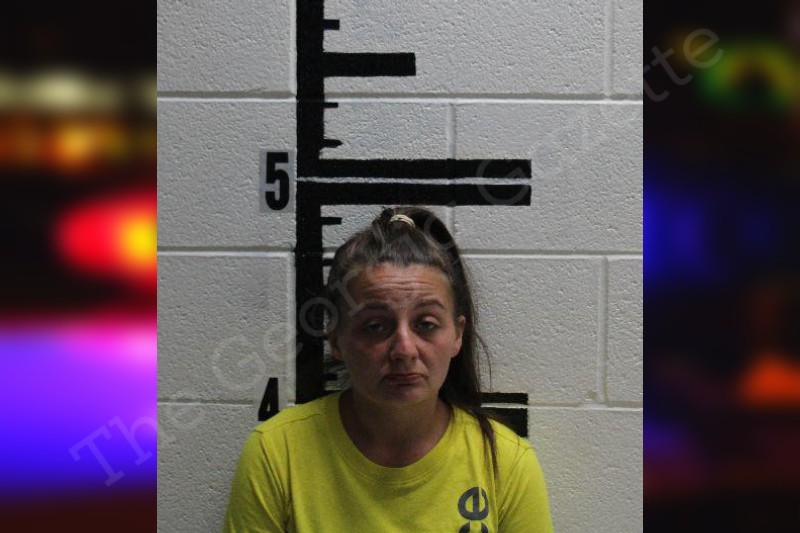 Ashley Godfrey Murray County Jail Bookings