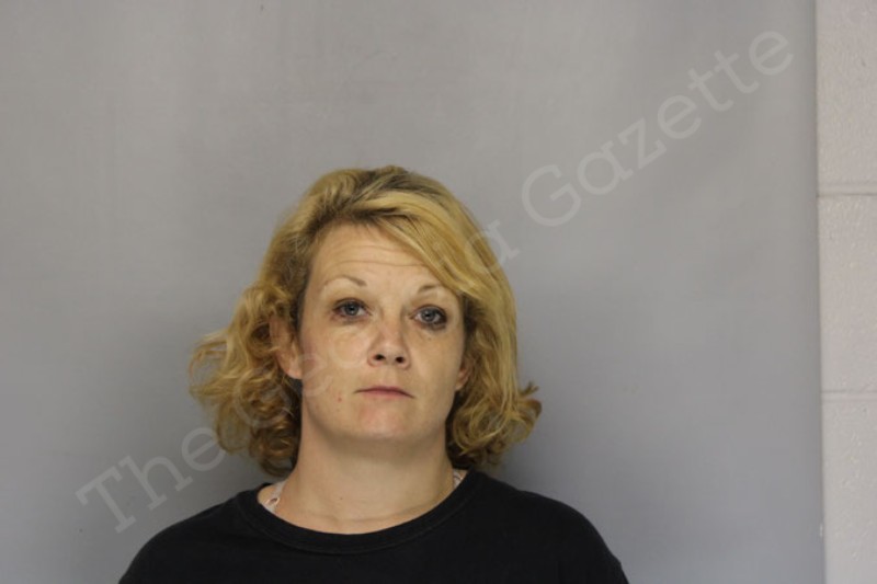 Jeania Martin Hall County Jail Bookings