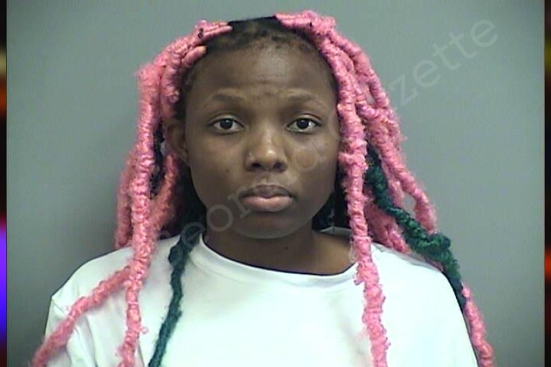 Jamecia West Effingham County Jail Bookings