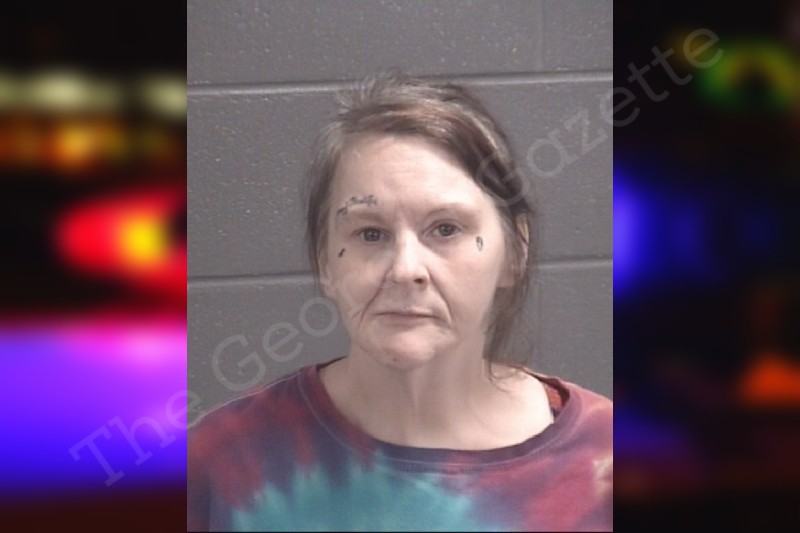 Sonya Williams Spalding County Jail Bookings