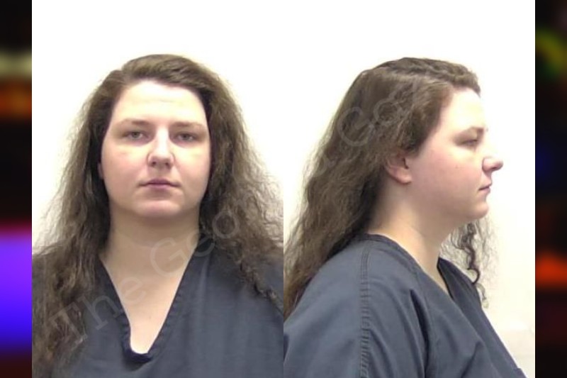 Skye Bragan Clarke County Jail Bookings