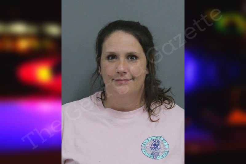 Hollie Fritz Catoosa County Jail Bookings