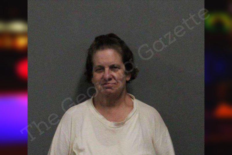 Patricia Garrison White County Jail Bookings