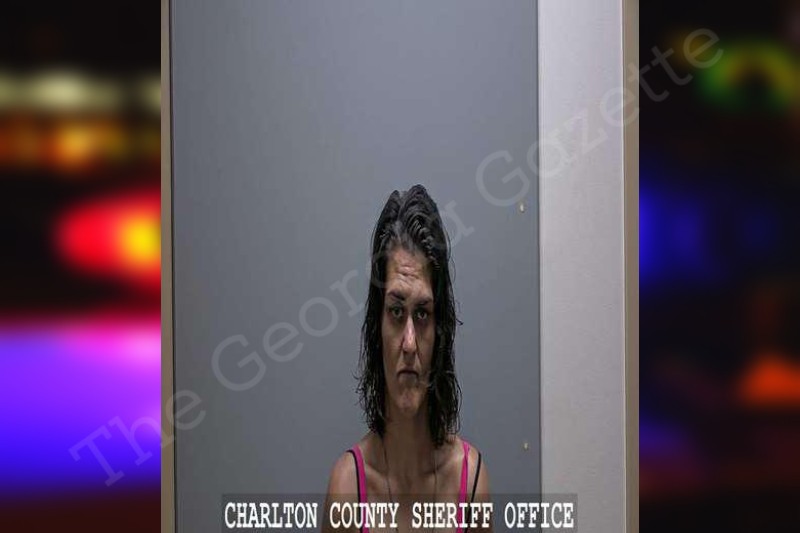 Mallorie Kitchens Charlton County Jail Bookings