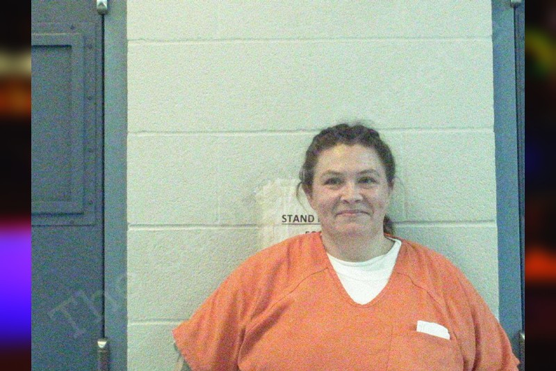 Melissa Barnwell Stephens County Jail Bookings