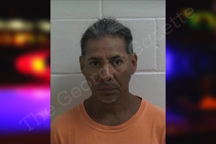 Ismael Garcia Decatur County Jail Bookings