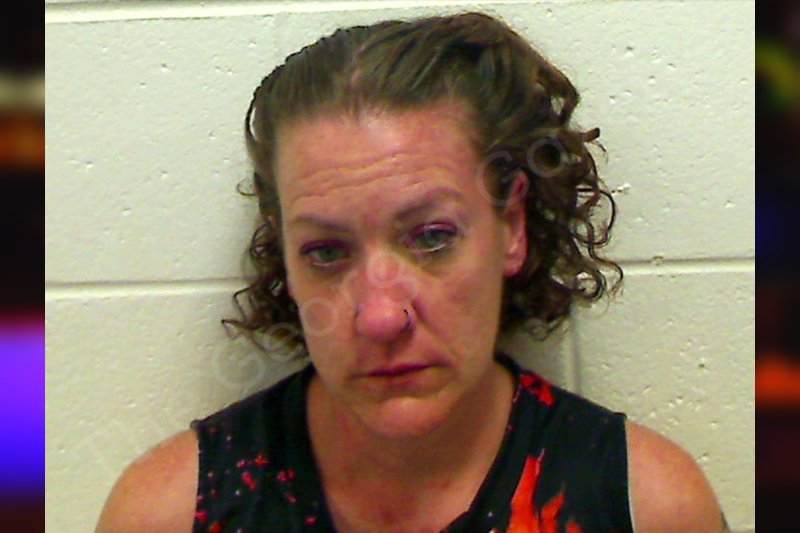 Angela Gregg Bulloch County Jail Bookings