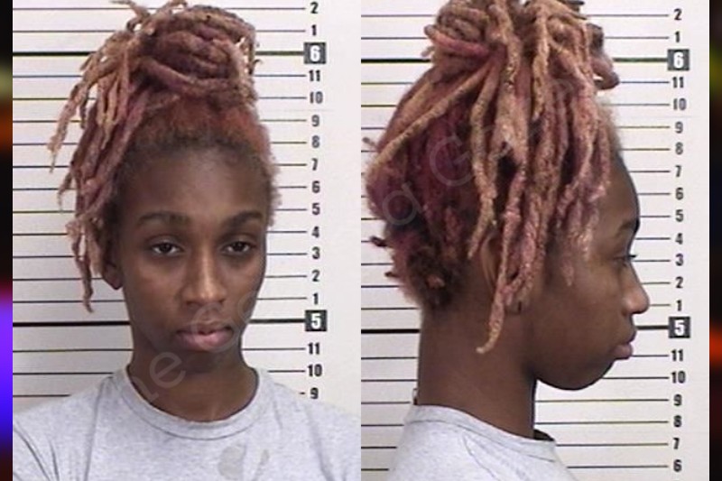 Chryshanisse Pittman Camden County Jail Bookings