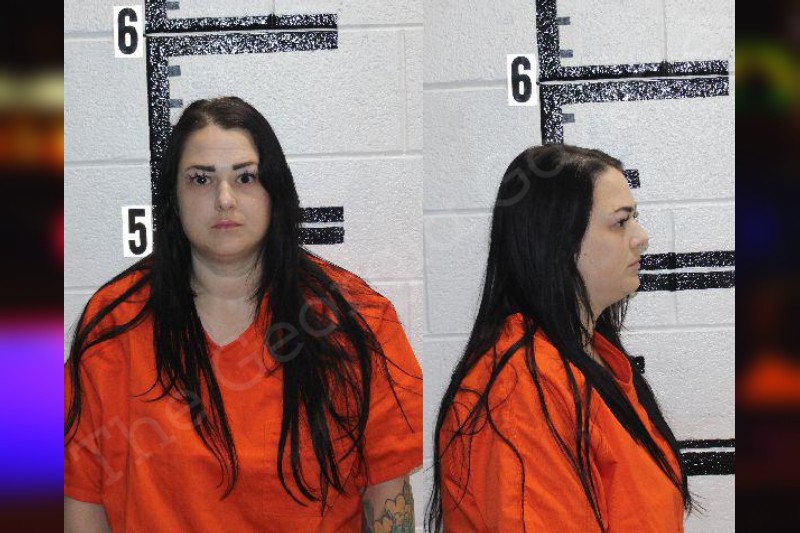 Tiffany Porter Murray County Jail Bookings