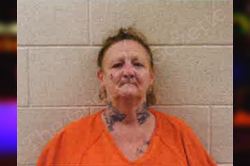 Debra Sewell Pickens County Jail Bookings