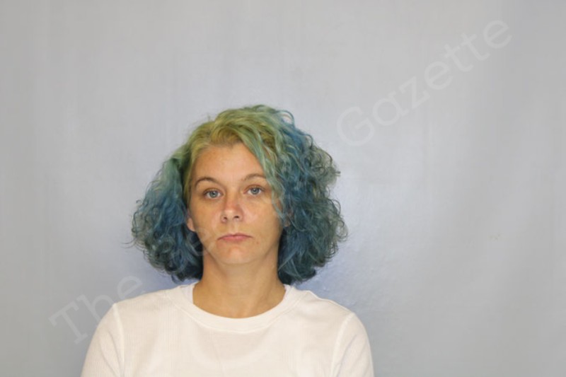 Kimberly Campbell Hall County Jail Bookings