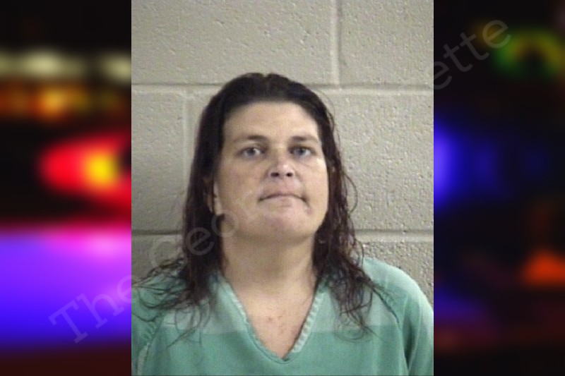 Tiffany Fowler Whitfield County Jail Bookings