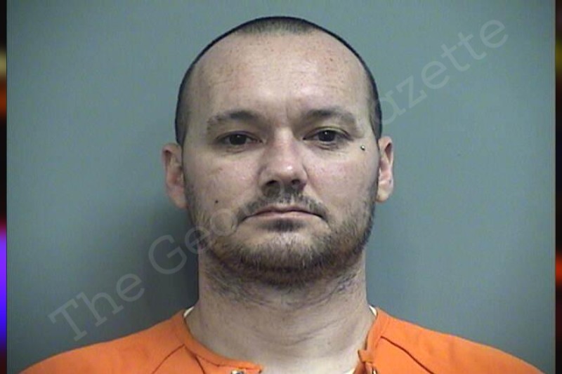 Dusty Hamilton Effingham County Jail Bookings