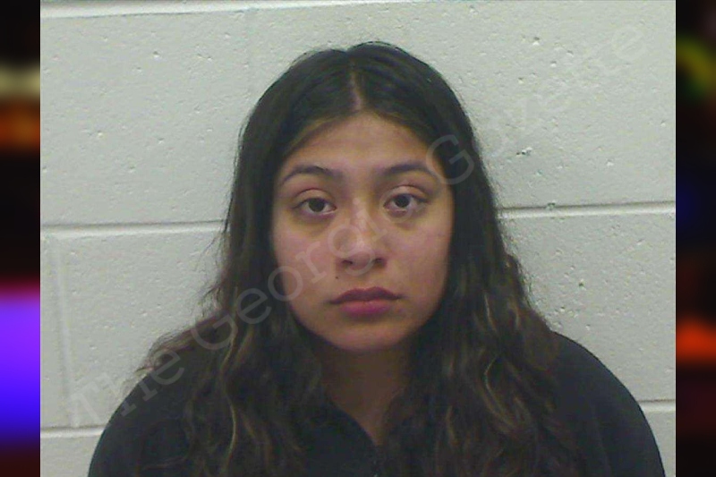 Jackelyn Hernandez Bulloch County Jail Bookings