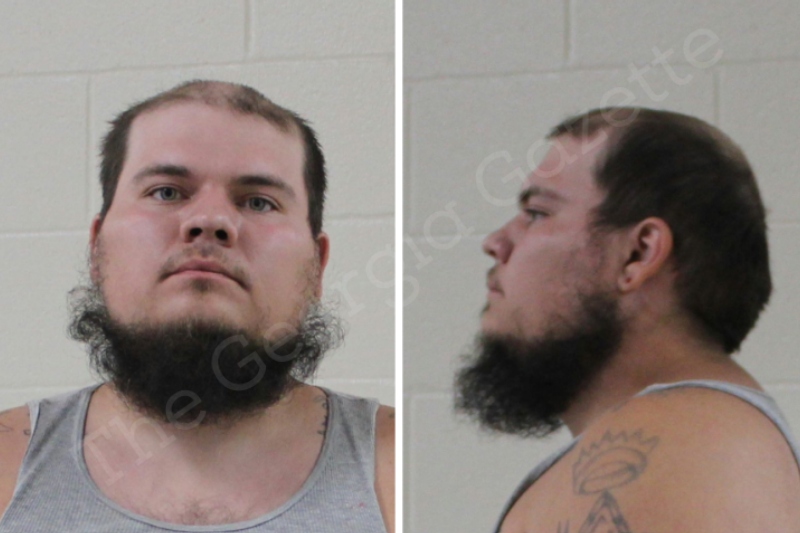 Tyler Mossman Houston County Jail Bookings