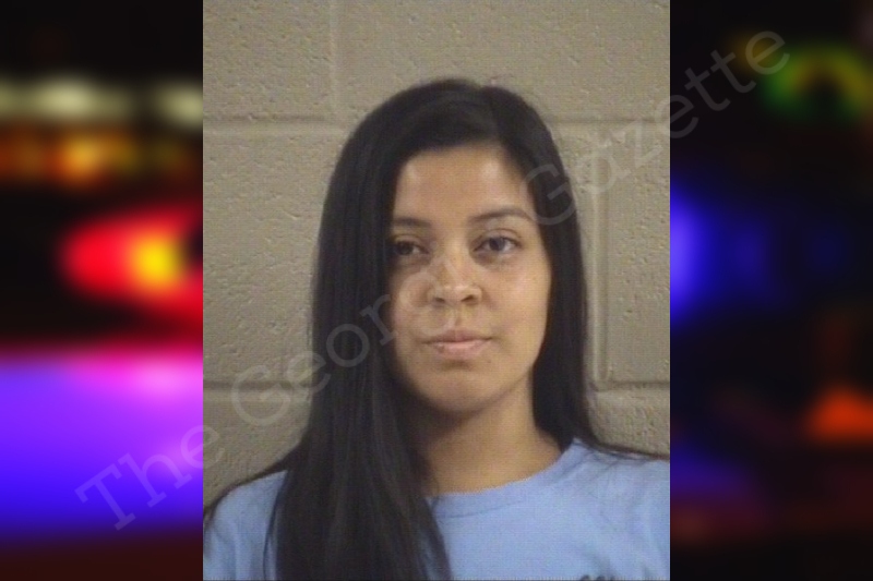 Diana Quijano Whitfield County Jail Bookings