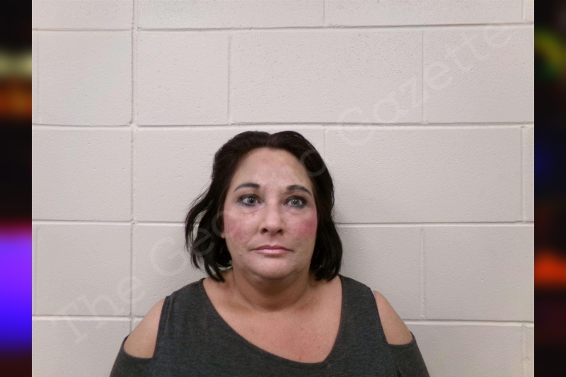 Maggie McDonald Bulloch County Jail Bookings