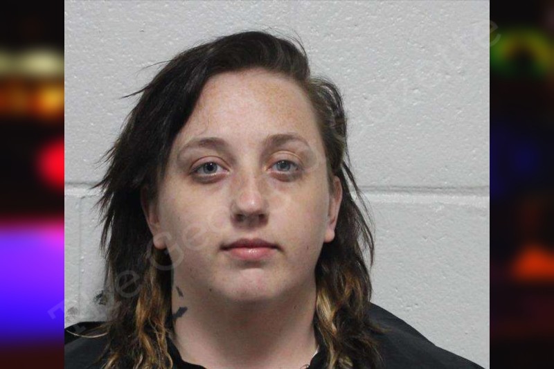 Courtney Stimmel Habersham County Jail Bookings