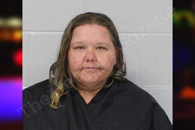 Amanda Mitchell Carroll County Jail Bookings