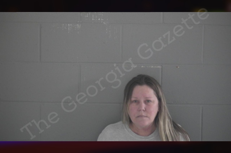 Anne McDonald Brantley County Jail Bookings