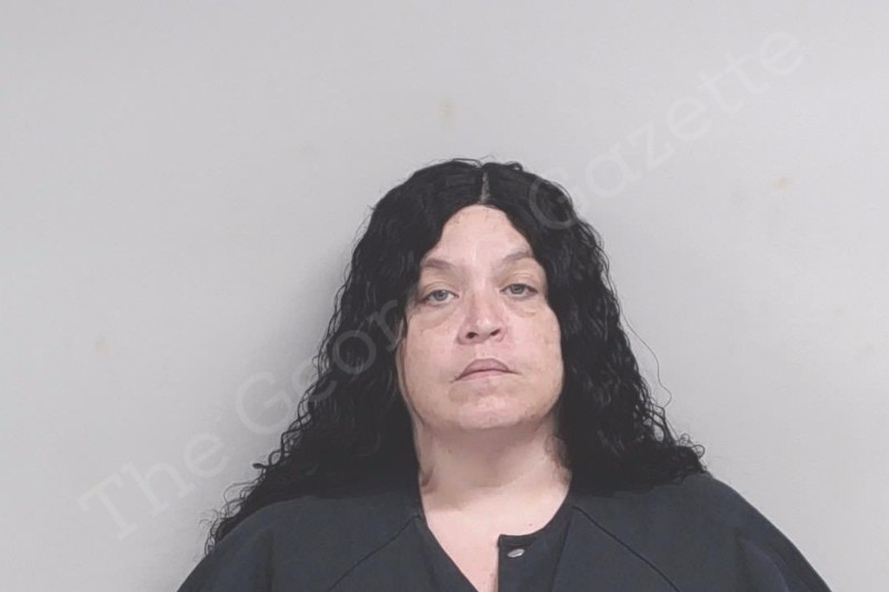 Erica Soderling Lowndes County Jail Bookings