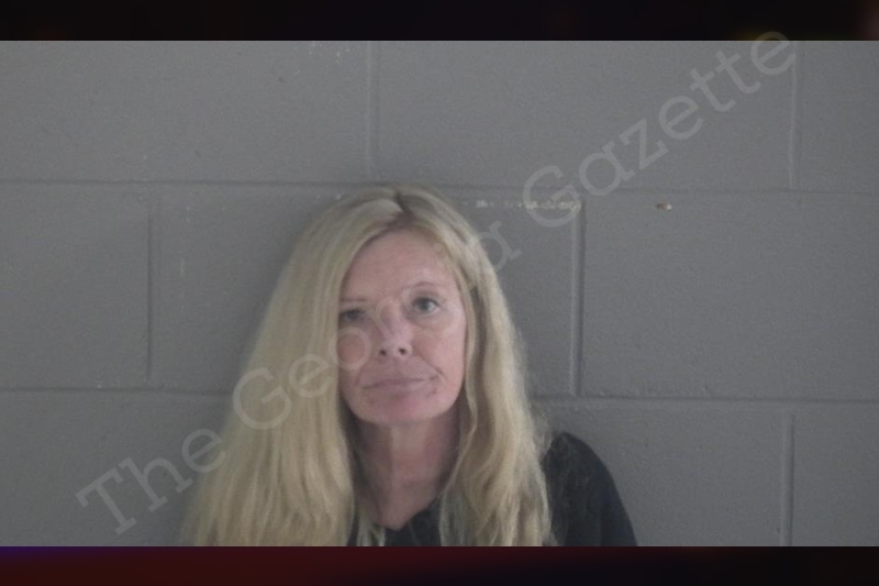 Gloria Wright Mock Brantley County Jail Bookings