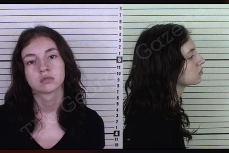 Annabelle Byrd Camden County Jail Bookings