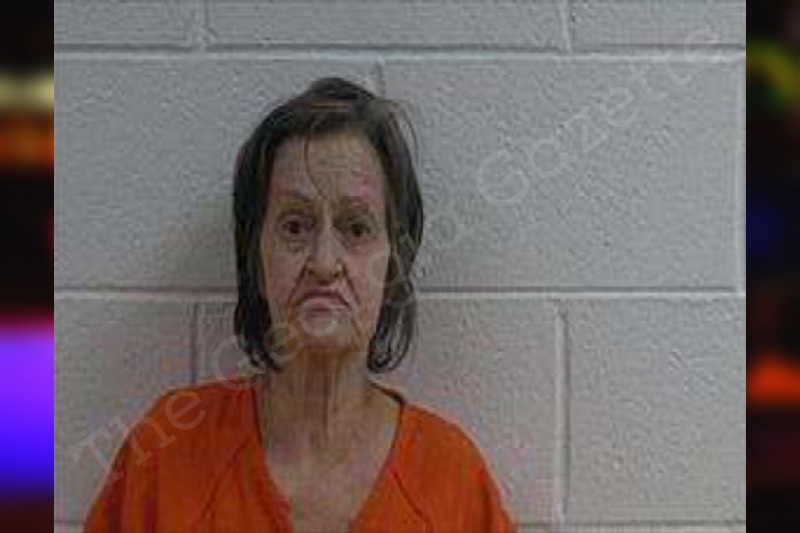 Janice Longino Polk County Jail Bookings