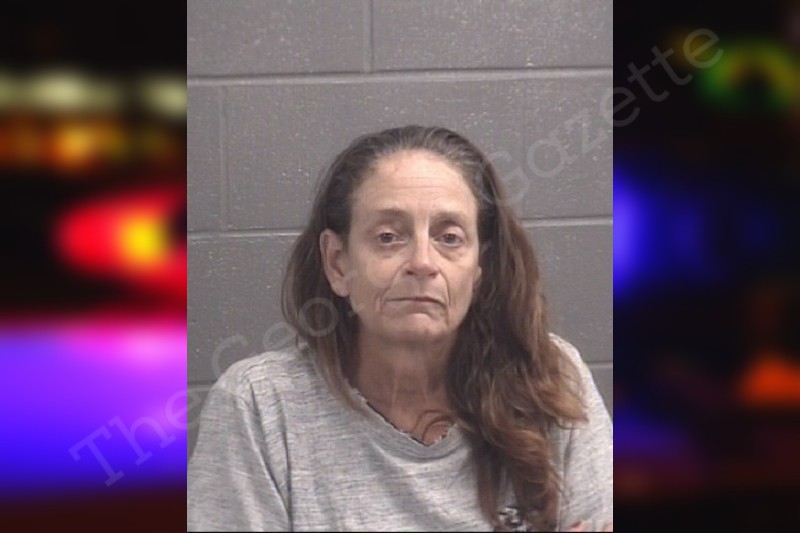 Violet Maples Spalding County Jail Bookings