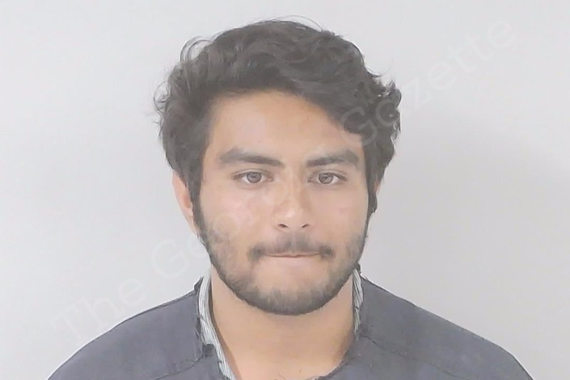 Krish Patel Lowndes County Jail Bookings