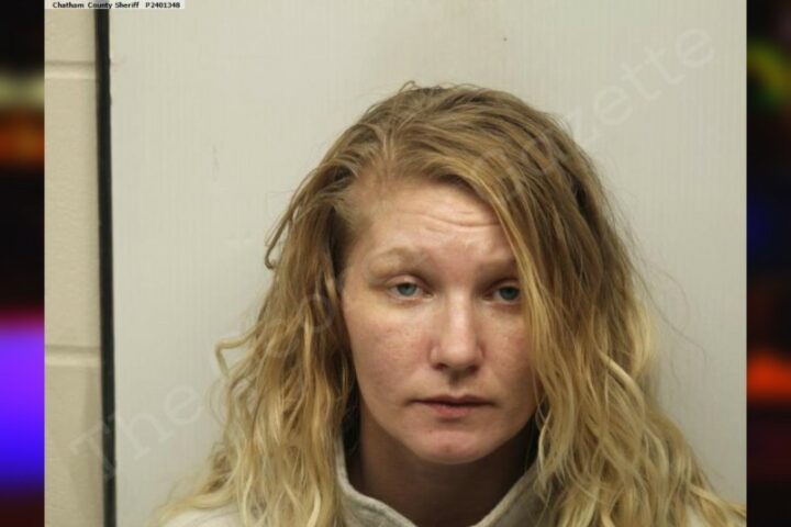 Rachel Richardson Chatham County Jail Bookings