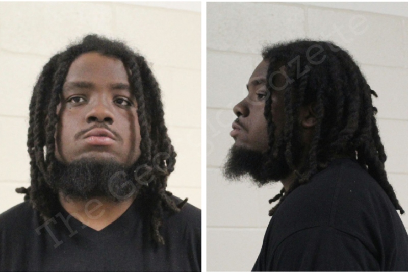 Jaylan Ashley Houston County Jail Bookings