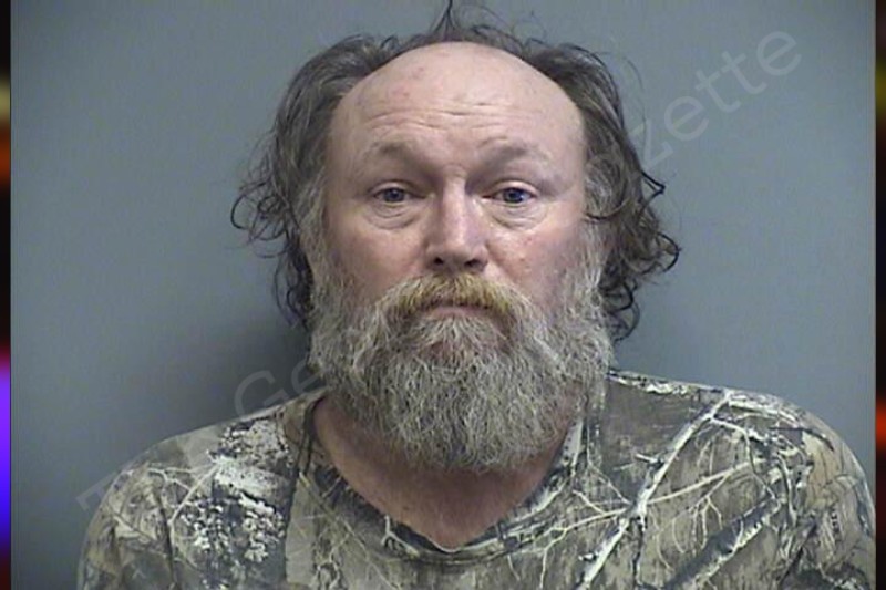 David Lanier Effingham County Jail Bookings